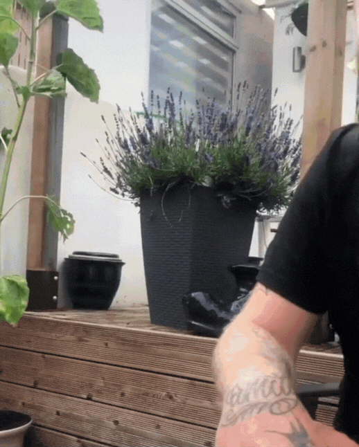 Summer Breeze Cooling Vest