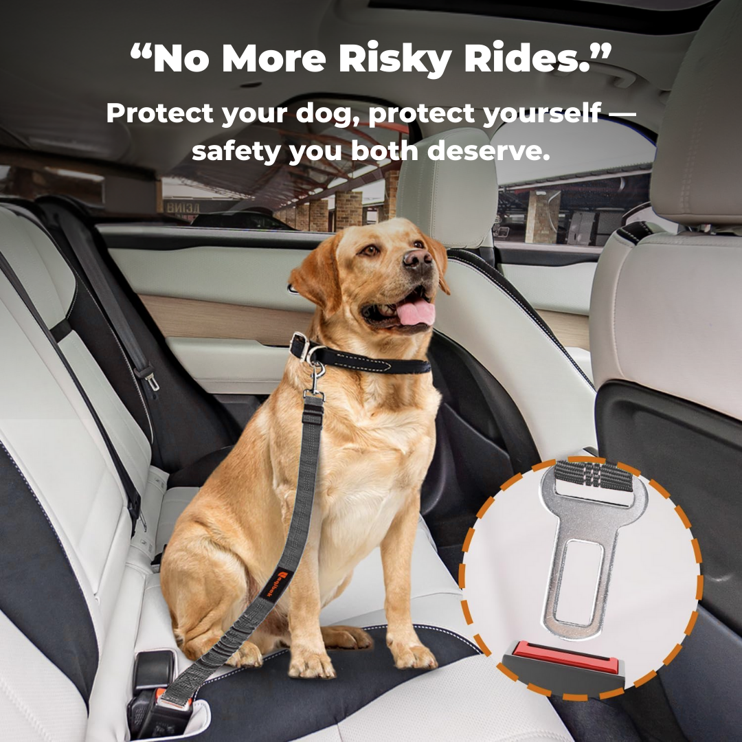 Comfy Ride™ Pet Safety Belt