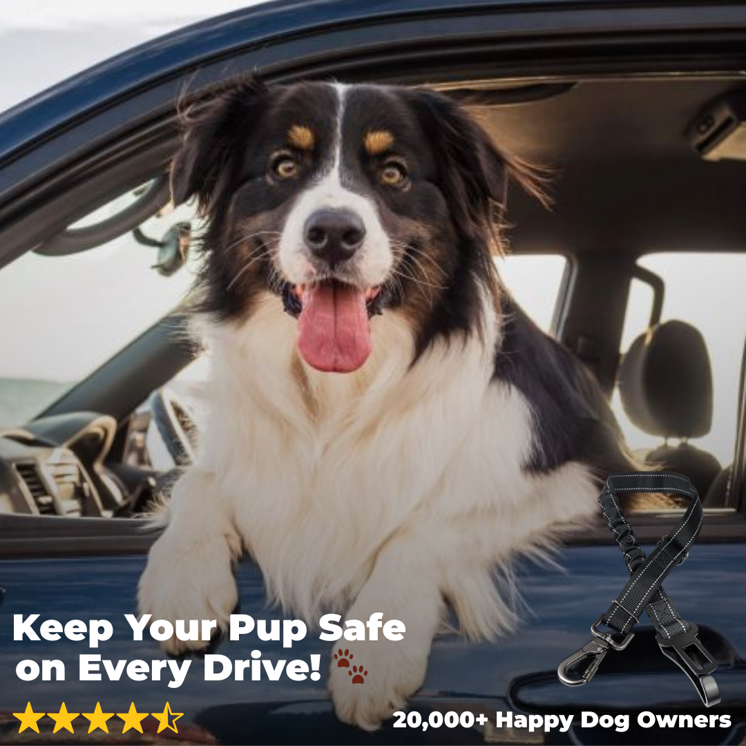 Comfy Ride™ Pet Safety Belt