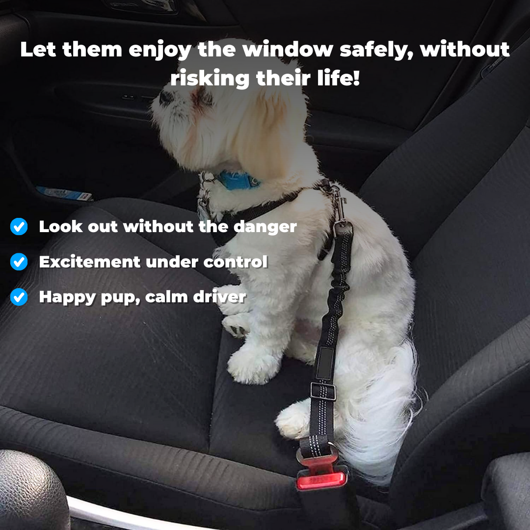 Comfy Ride™ Pet Safety Belt
