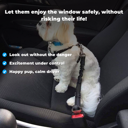 Comfy Ride™ Pet Safety Belt