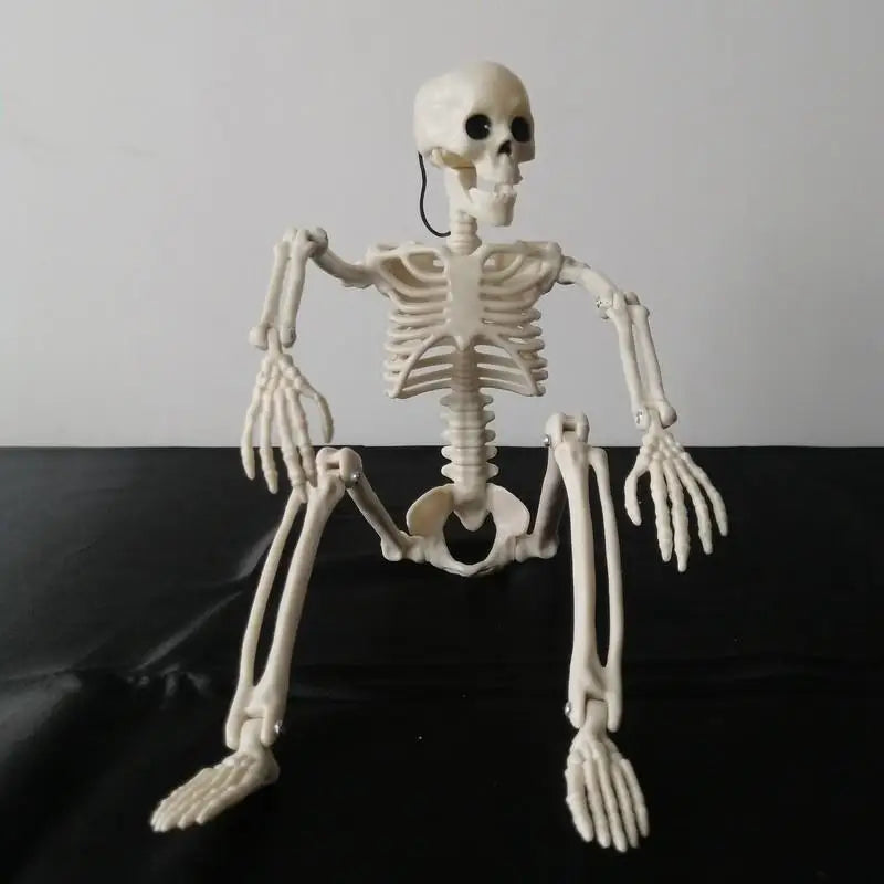 Halloween Skeleton