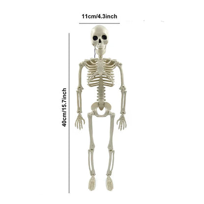Halloween Skeleton