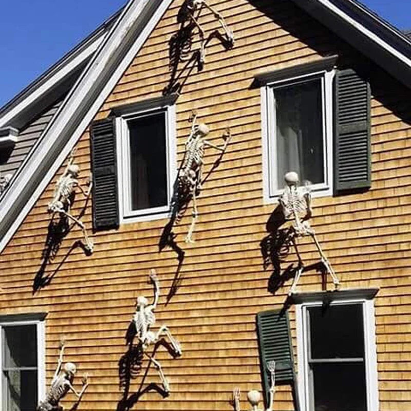 Halloween Skeleton